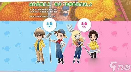 《牧场物语再会矿石镇》男孩版与女孩版有什么区别 男孩女孩版区别介绍