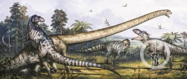 永川龙生活年代