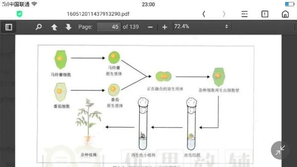 为什么植物是体细胞杂交，动物是细胞杂交？
