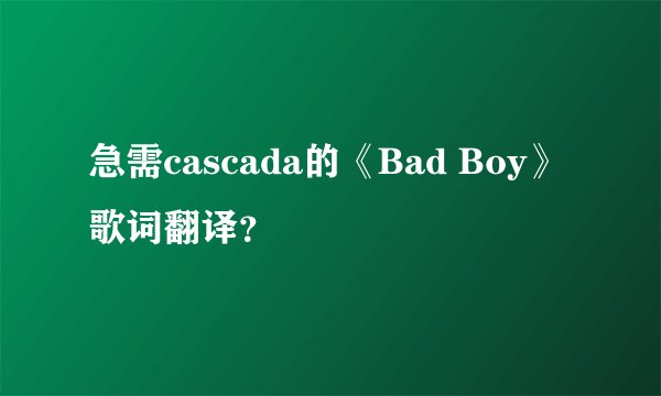 急需cascada的《Bad Boy》歌词翻译？