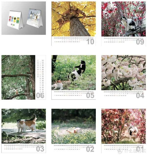 好物清单 篇一:2020 十大日历推荐,或许就有一款击中你