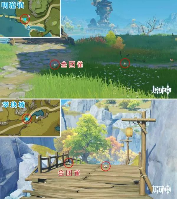 原神四方八方之网可捕捉动物在哪