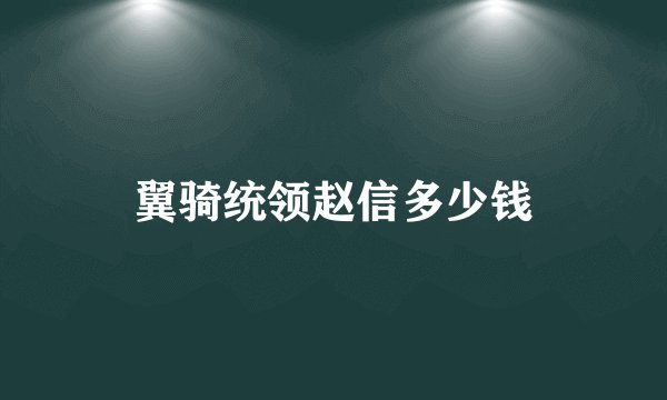 翼骑统领赵信多少钱