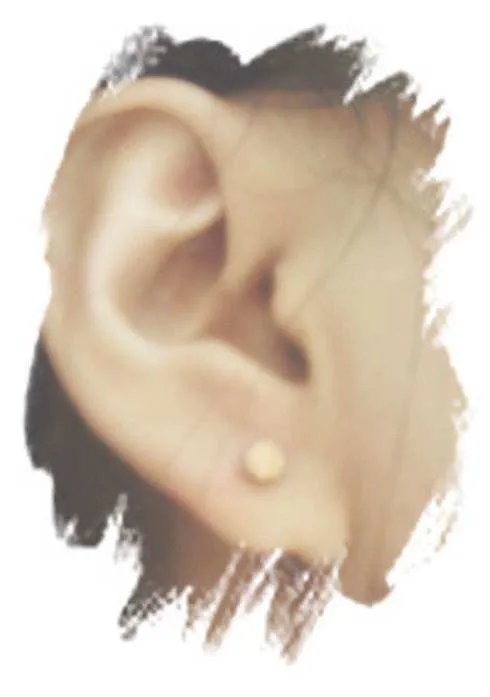 广电最近传出，男艺人节目禁耳钉，只要镜头照到耳朵都被打上马赛克，对于该规定你怎么看？