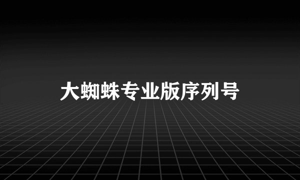 大蜘蛛专业版序列号