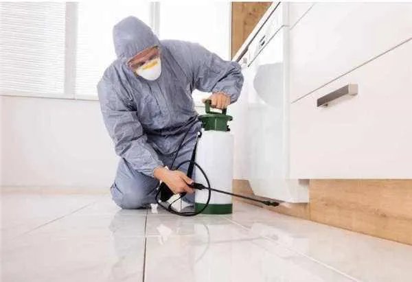 上海局地遭白蚁侵袭，消灭白蚁的办法有哪些？