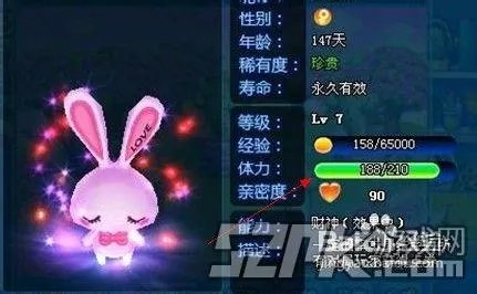 qq炫舞宠物怎么升级快 宠物快速升级指南