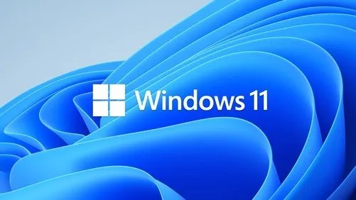 Win11正式版安装率仅1.44%，比Win XP还少