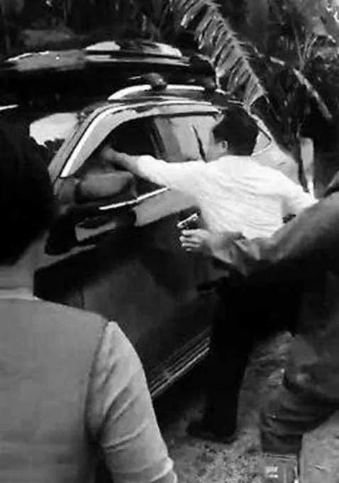 何处游客偷香蕉遭殴打？