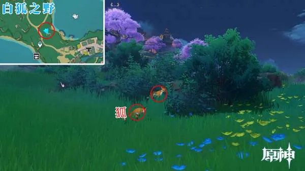 原神四方八方之网可捕捉动物在哪
