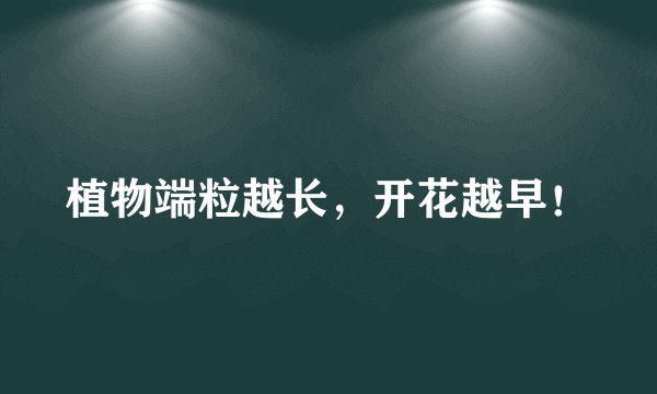 植物端粒越长，开花越早！