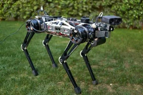 加拿大机器狗夜晚独自在街头游荡，这不会引起人群恐慌吗？