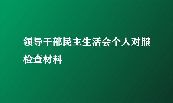 领导干部民主生活会个人对照检查材料