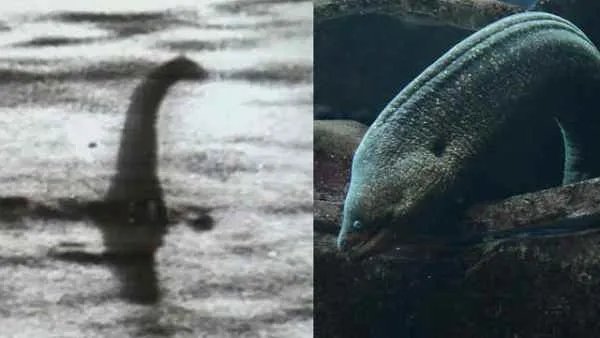 传说中的尼斯湖水怪真的存在吗？