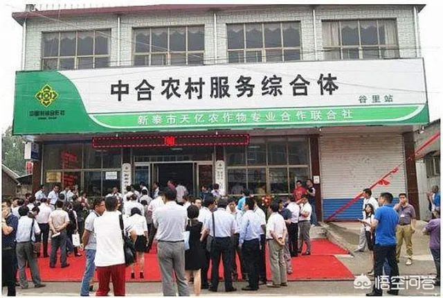 想开一家供销社