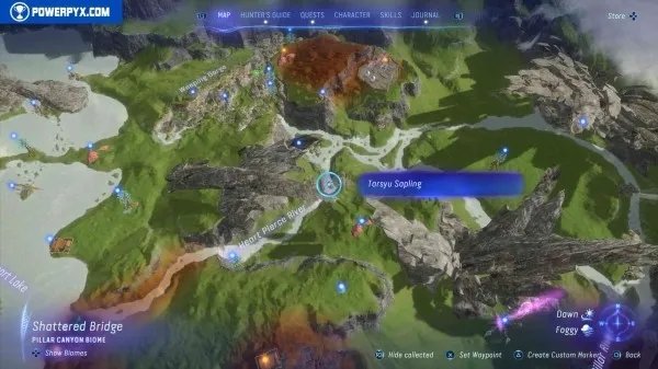 《阿凡达潘多拉边境》塔休幼苗位置汇总 塔休幼苗收集攻略