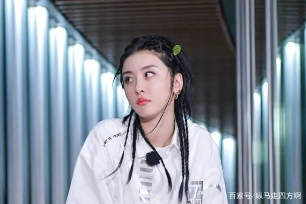 赵小棠道歉上热搜，才刚上《极限挑战》就出事，流量都怎么了？