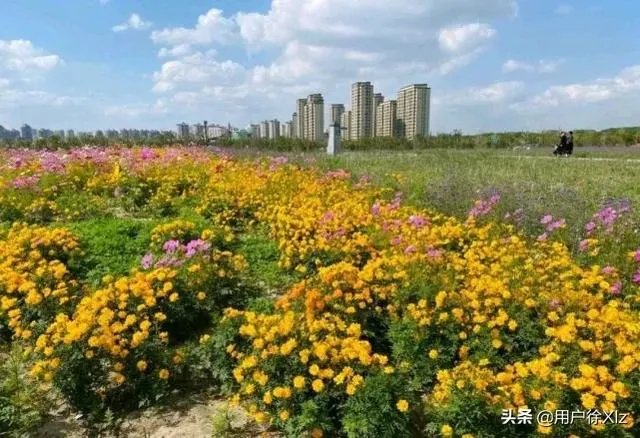 上海奉贤区东端这个镇