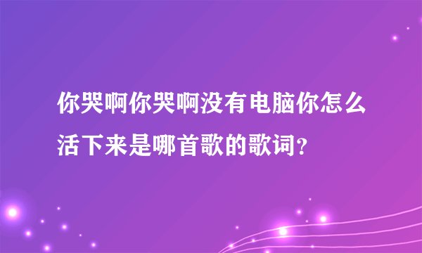 你哭啊你哭啊没有电脑你怎么活下来是哪首歌的歌词？