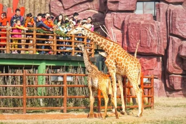 济南亲子游好都有哪些好去处？