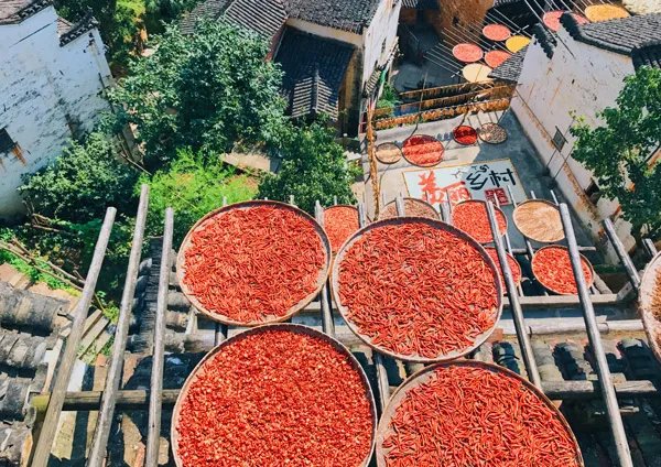 江西婺源旅游攻略 婺源旅游攻略