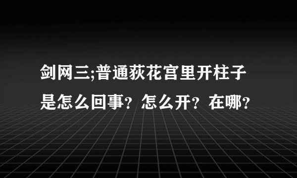 剑网三;普通荻花宫里开柱子是怎么回事？怎么开？在哪？