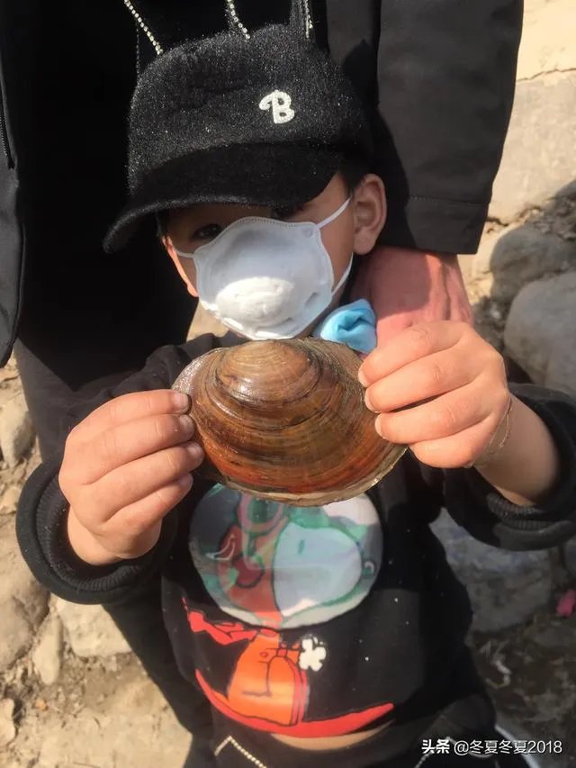 因为疫情至今学校还没开学，有的学校先让家长把学费交了，合理吗？