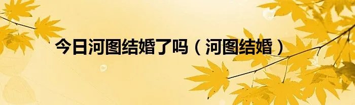 今日河图结婚了吗（河图结婚）
