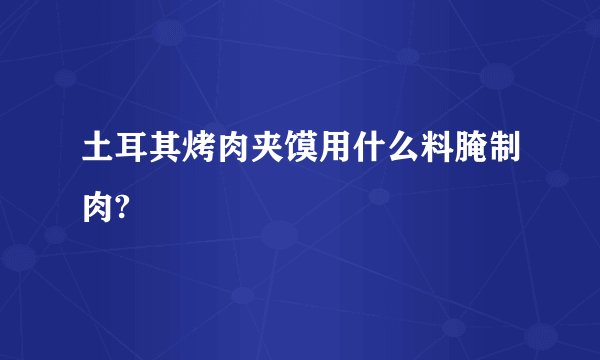 土耳其烤肉夹馍用什么料腌制肉?