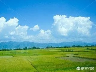 在别人的眼中云南人是什么样子？