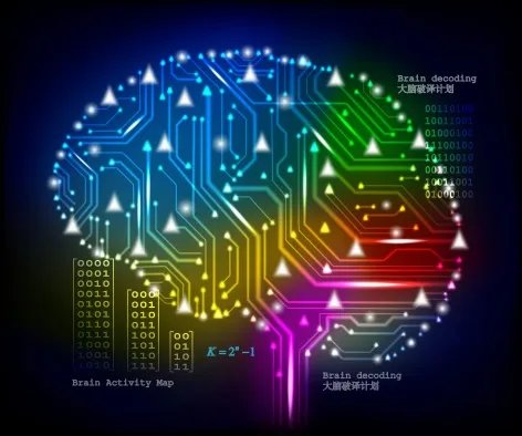中国大脑的计划解读