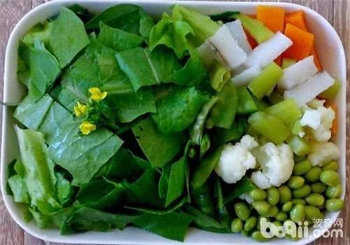 绿鬣蜥怎么养？