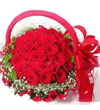 36朵玫瑰花代表什么意思？