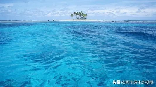 在哪里拍婚纱照好？