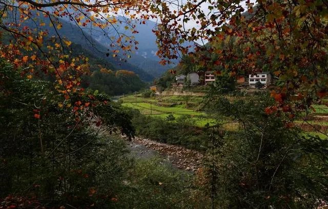 绵阳万达cbd怎么样?