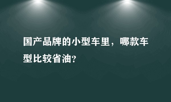 国产品牌的小型车里，哪款车型比较省油？