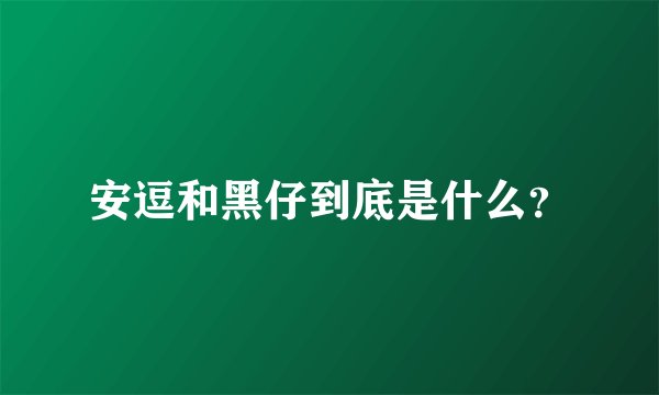 安逗和黑仔到底是什么？