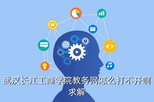 长江商学院教务系统,武汉长江工商学院代码