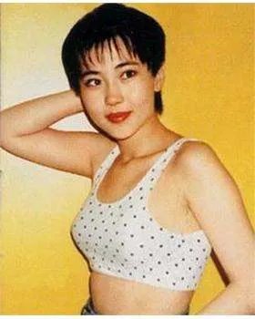 周弘的个人简介