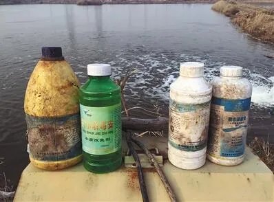 小鱼塘兽药乱投放 我们不吃自己养的鱼
