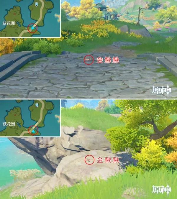 原神四方八方之网可捕捉动物在哪