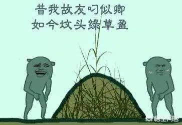 如何看待广州业主收楼发现花上百万买到的房子,楼下是一片露天坟地?