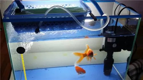 鱼缸水泵要一直开着吗