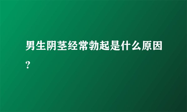 男生阴茎经常勃起是什么原因？