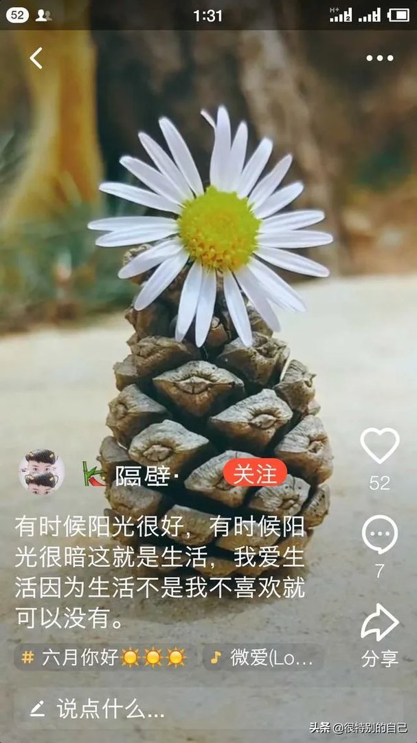 你认为哪些人才是中国真正的明星?