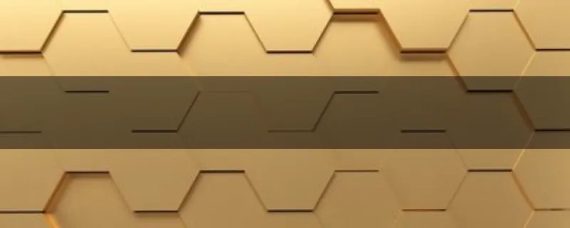 排球女将的结局是什么？