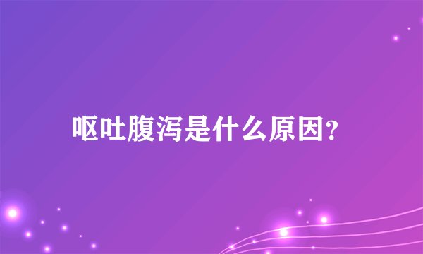 呕吐腹泻是什么原因？