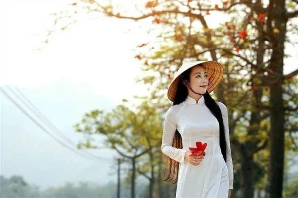 越南阮姓是越南的第一大姓，为什么会有这么多人？