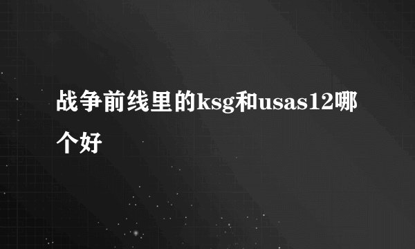 战争前线里的ksg和usas12哪个好