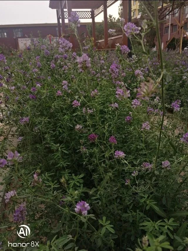 何猷君何超莲互相取关,为何遭疑正式“开撕”,你怎么看此事?